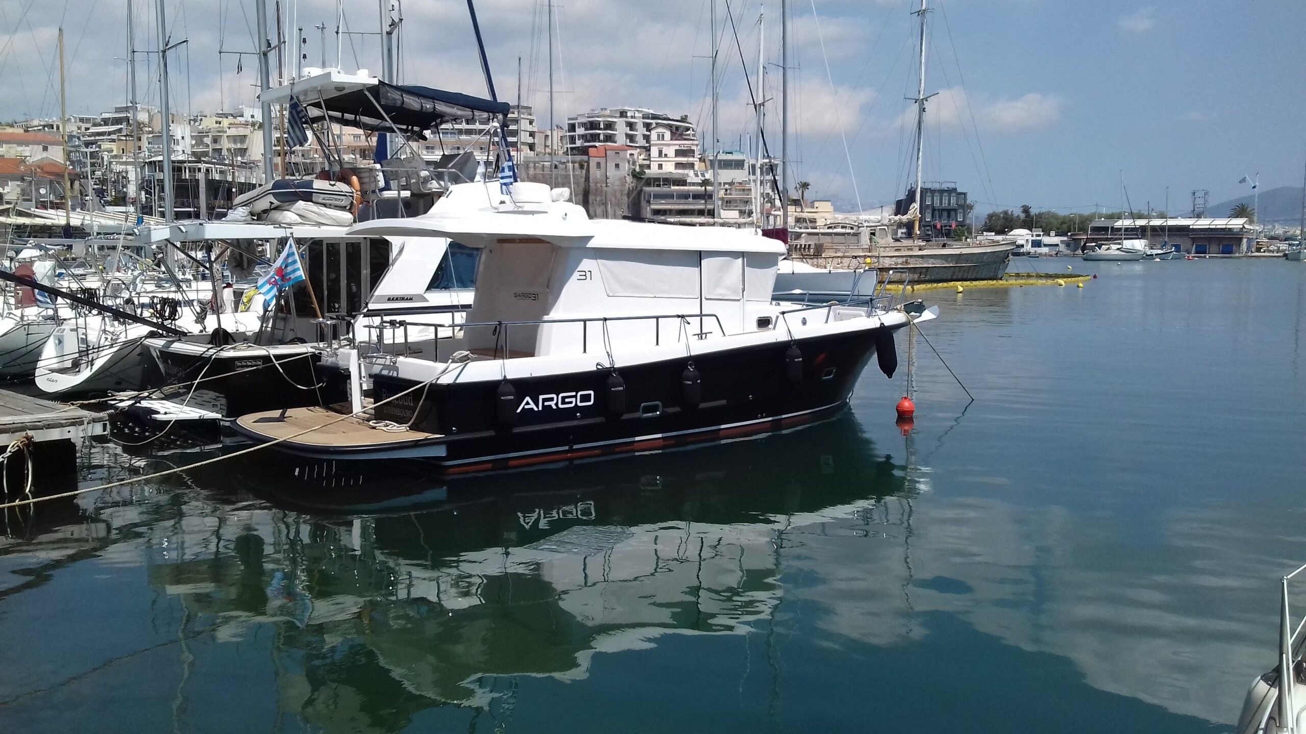 Sargo 31