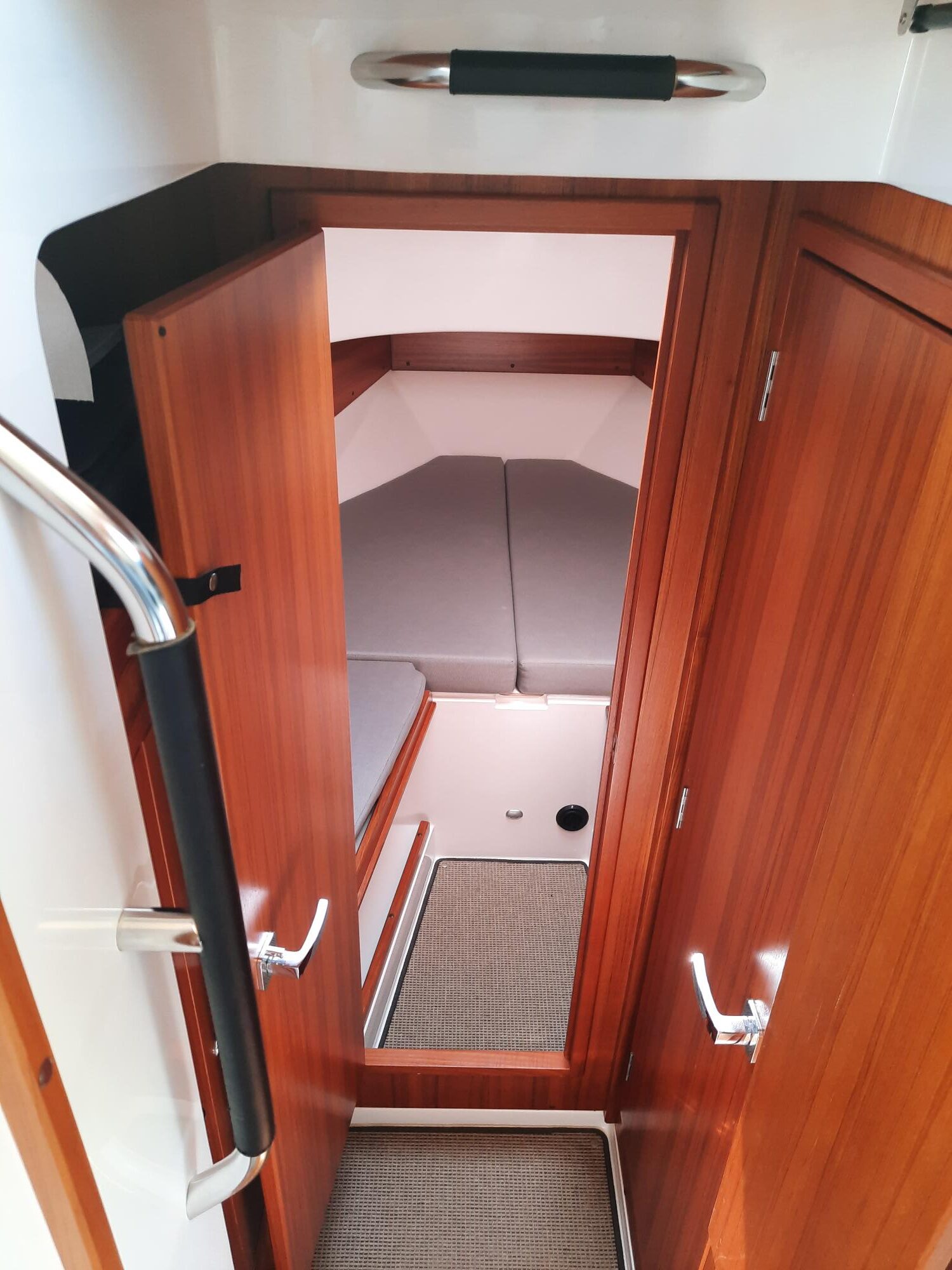 Sargo 31