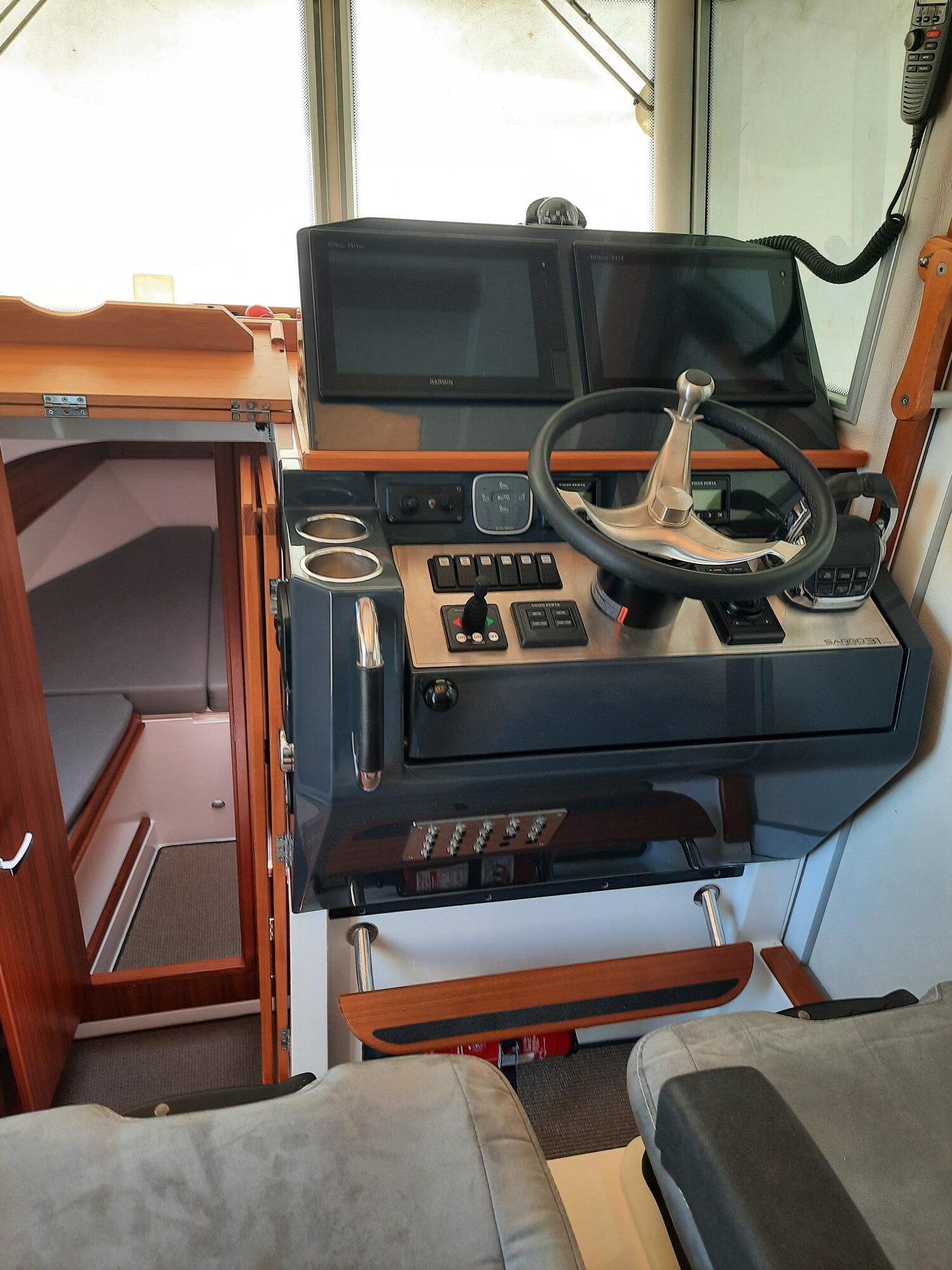 Sargo 31