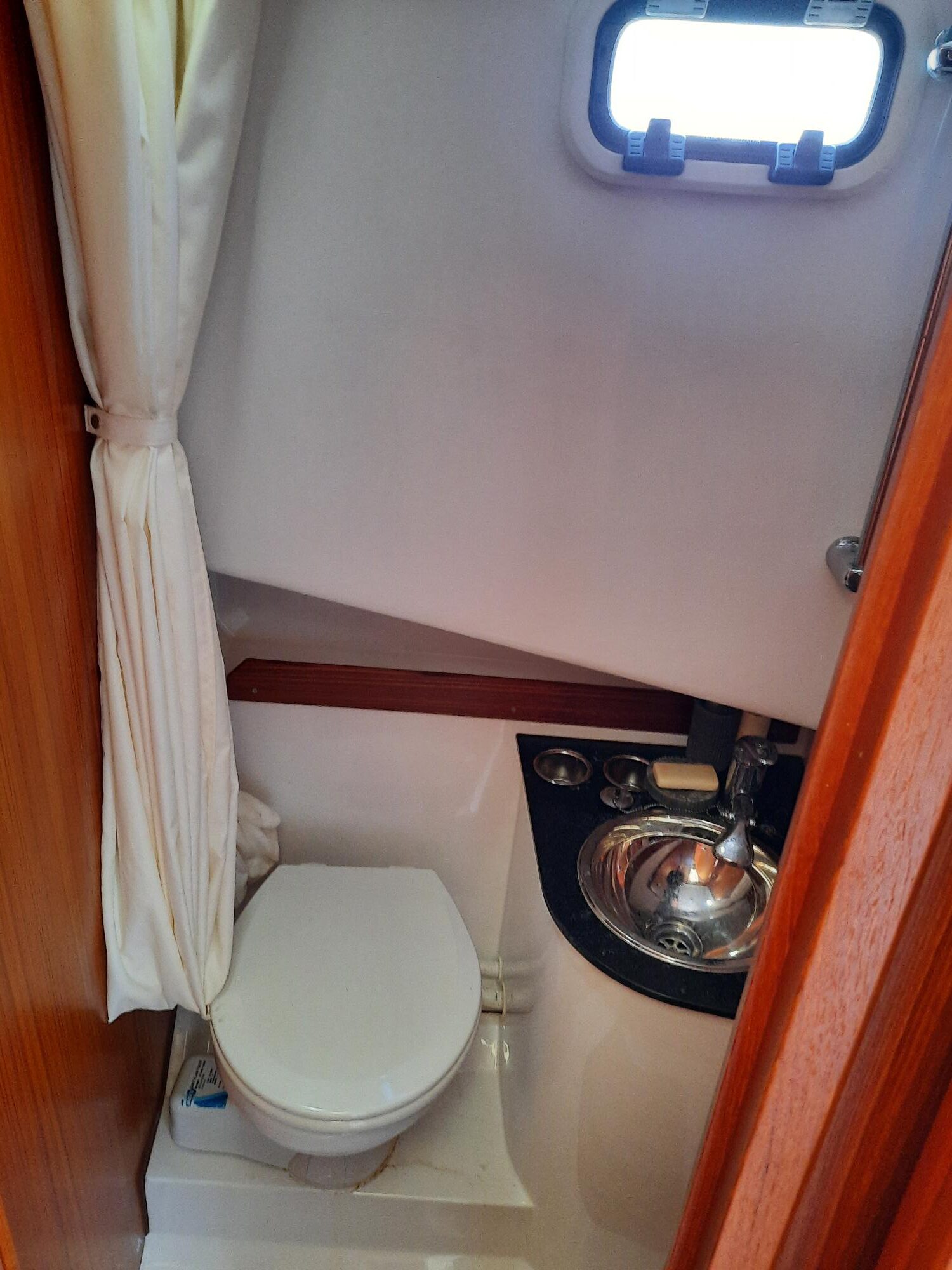Sargo 31