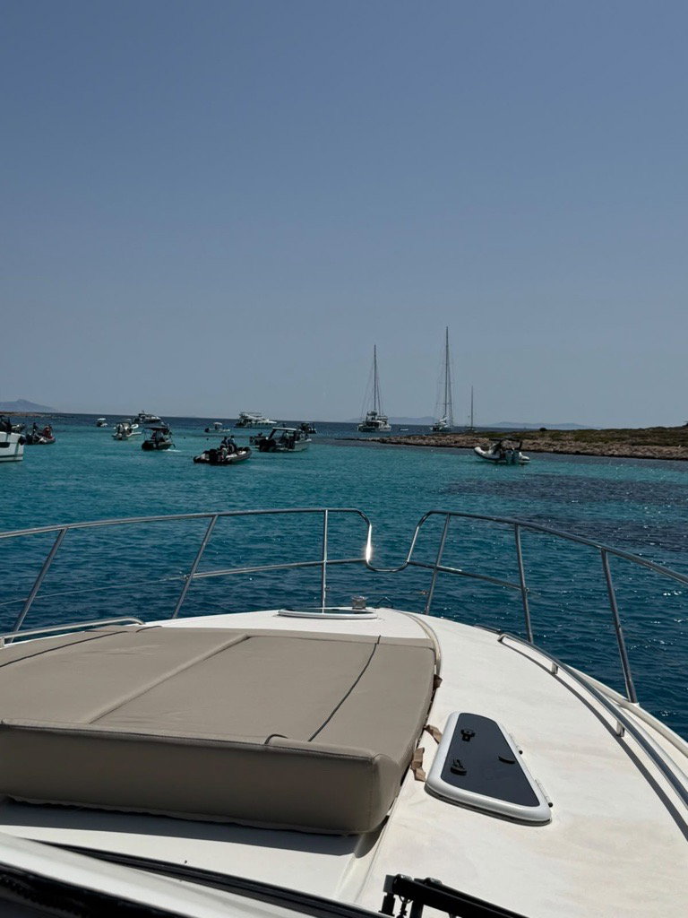 Princess V55